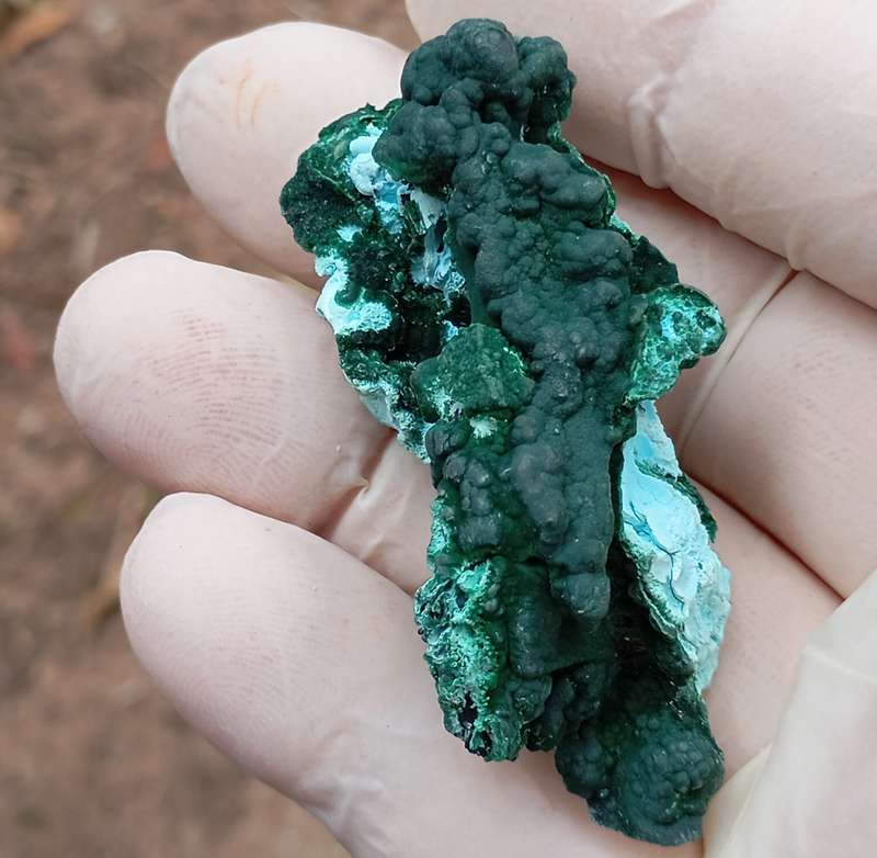 Malachite chrysocolla heterogenite - Tenke Fungurume mine DRC Congo