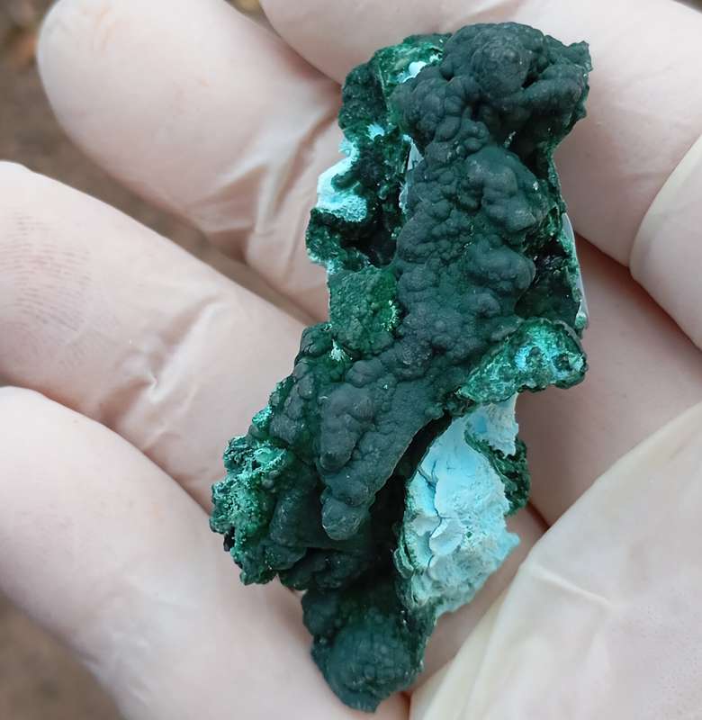 Malachite chrysocolla heterogenite - Tenke Fungurume mine DRC Congo