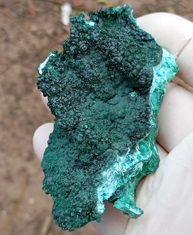 Malachite chrysocolla heterogenite - Tenke Fungurume mine DRC Congo