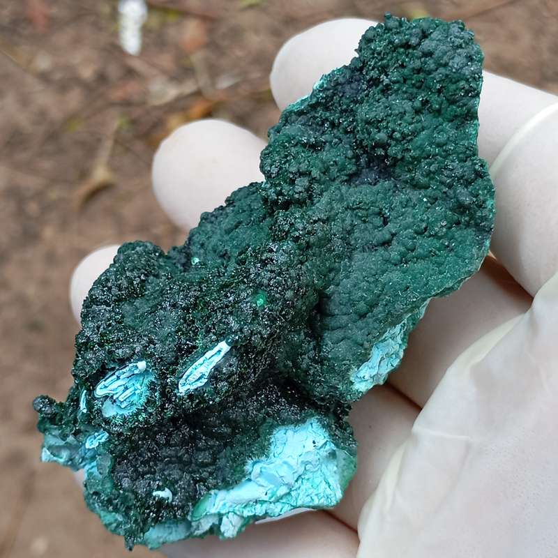 Malachite chrysocolla heterogenite - Tenke Fungurume mine DRC Congo
