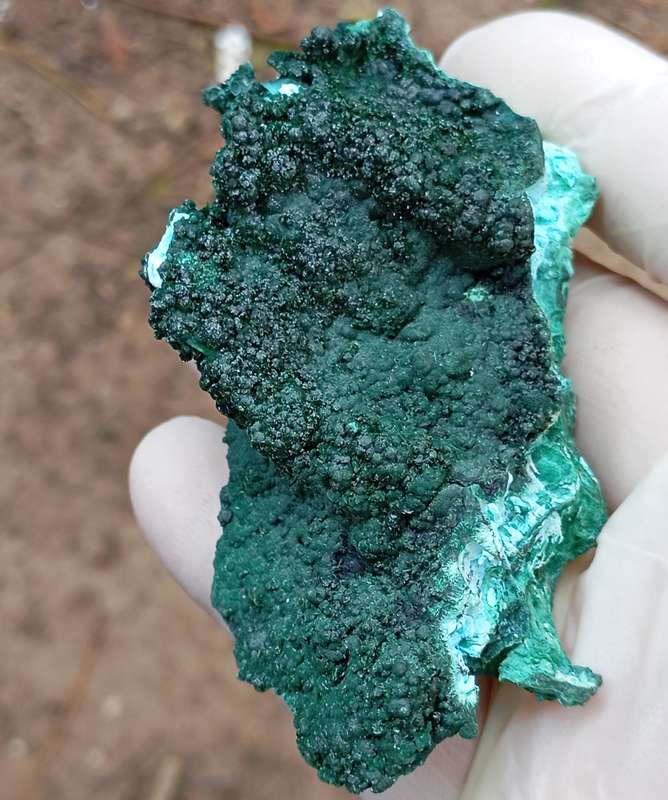 Malachite chrysocolla heterogenite - Tenke Fungurume mine DRC Congo