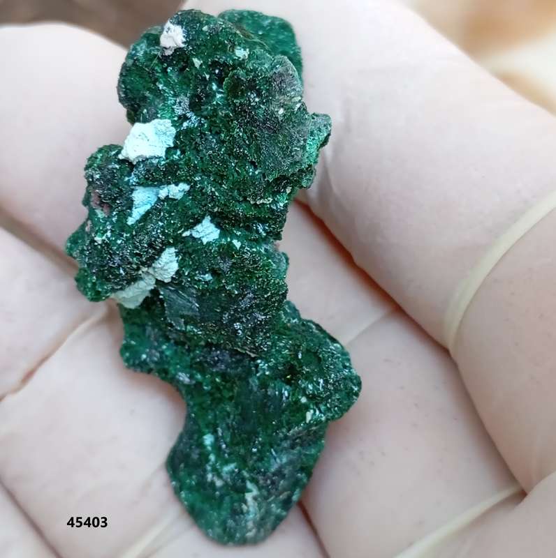 Malachite pseudomorph after baryte cobaltoan calcite chrysocolla - Kakanda deposit DRC Congo