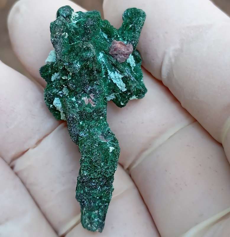 Malachite pseudomorph after baryte cobaltoan calcite chrysocolla - Kakanda deposit DRC Congo