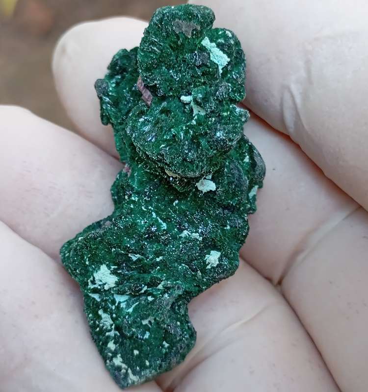 Malachite pseudomorph after baryte cobaltoan calcite chrysocolla - Kakanda deposit DRC Congo