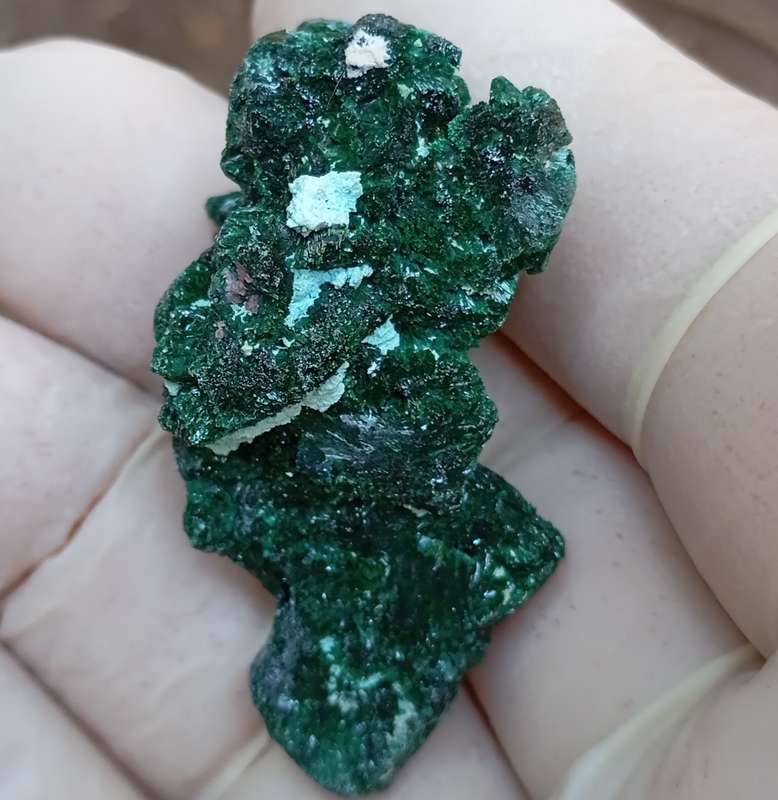 Malachite pseudomorph after baryte cobaltoan calcite chrysocolla - Kakanda deposit DRC Congo