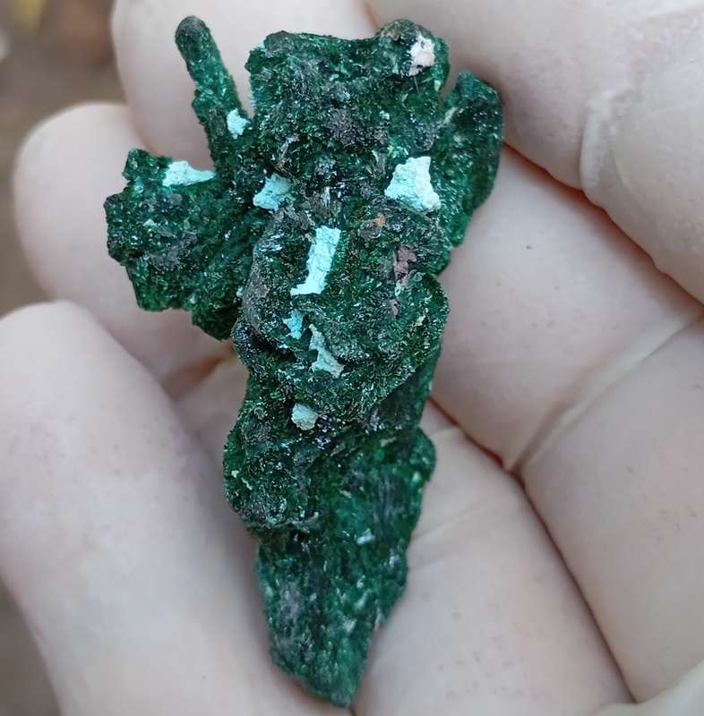 Malachite pseudomorph after baryte cobaltoan calcite chrysocolla - Kakanda deposit DRC Congo