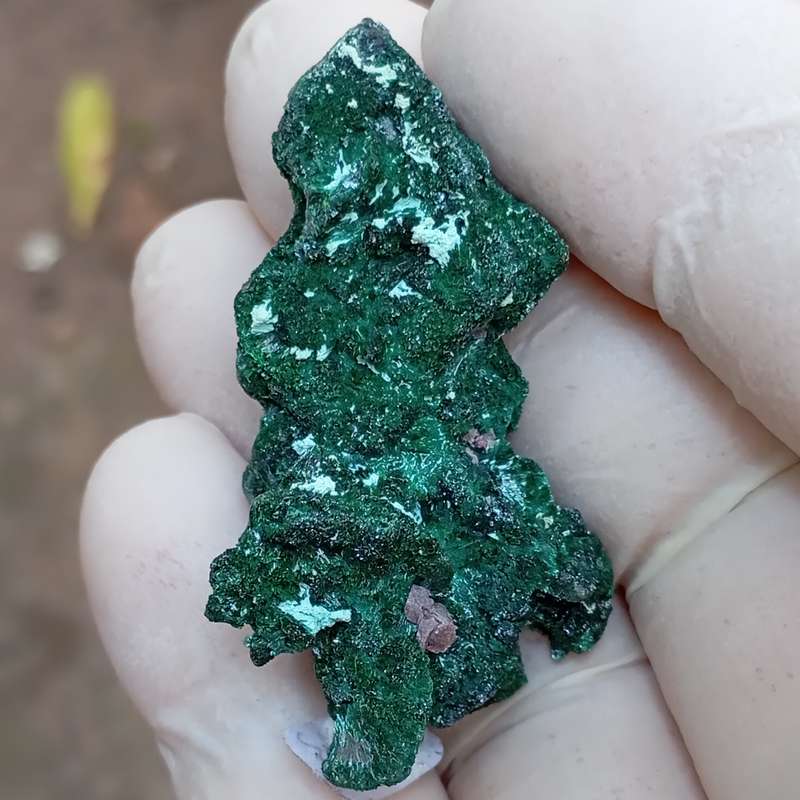 Malachite pseudomorph after baryte cobaltoan calcite chrysocolla - Kakanda deposit DRC Congo