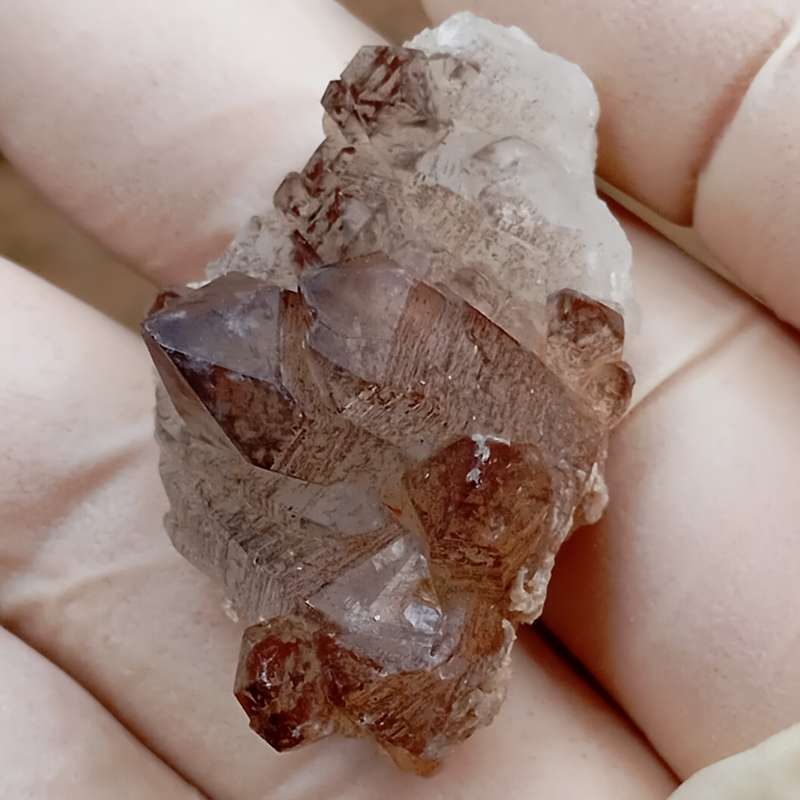Hematite in quartz - Orange River N Cape South Africa