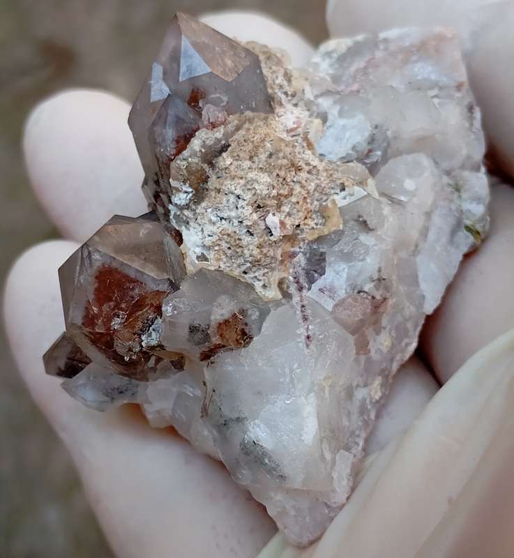 Hematite in quartz - Orange River N Cape South Africa