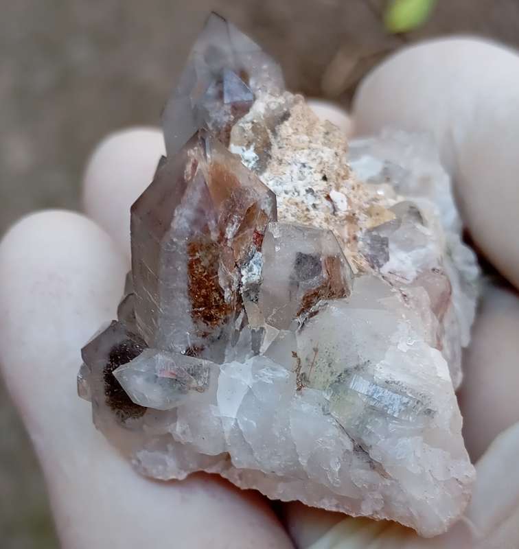 Hematite in quartz - Orange River N Cape South Africa