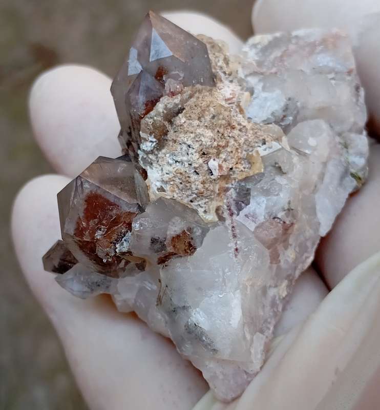 Hematite in quartz - Orange River N Cape South Africa