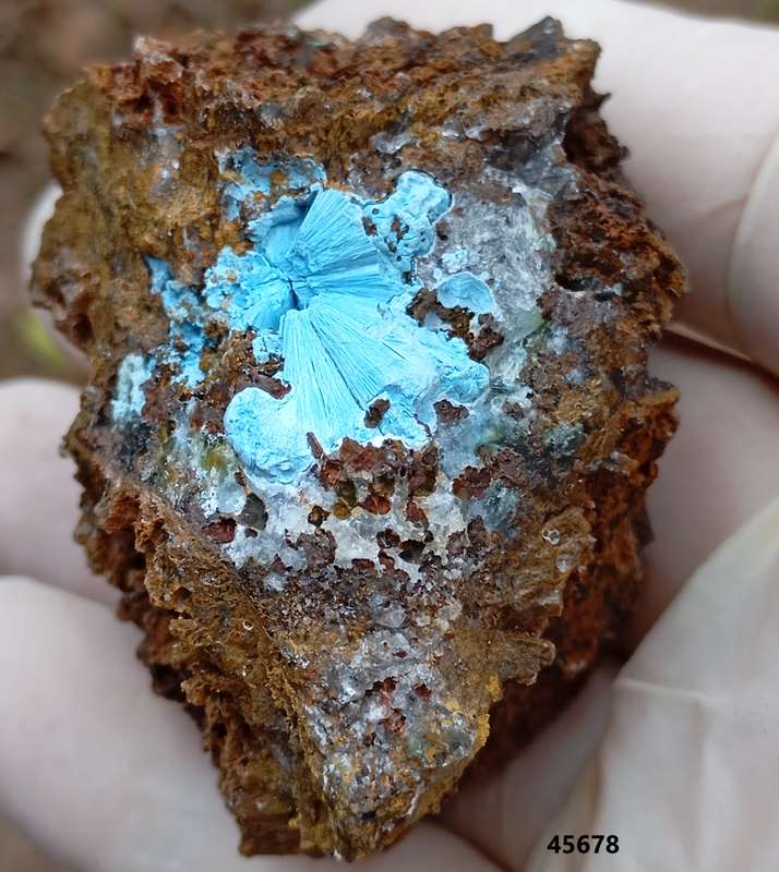 Shattuckite goethite quartz - Tantara mine DRC Congo
