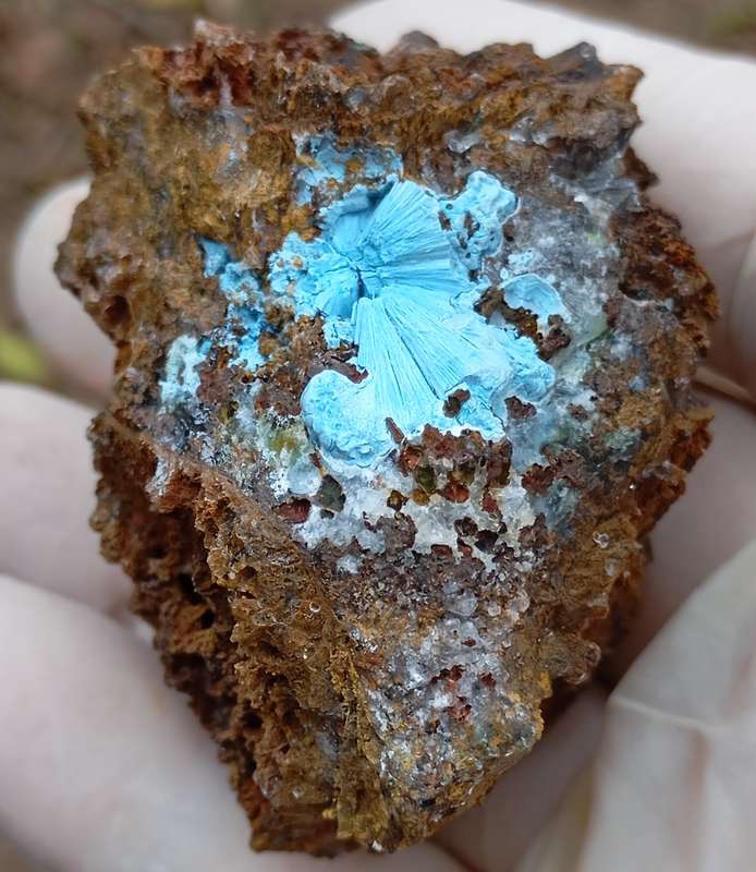 Shattuckite goethite quartz - Tantara mine DRC Congo