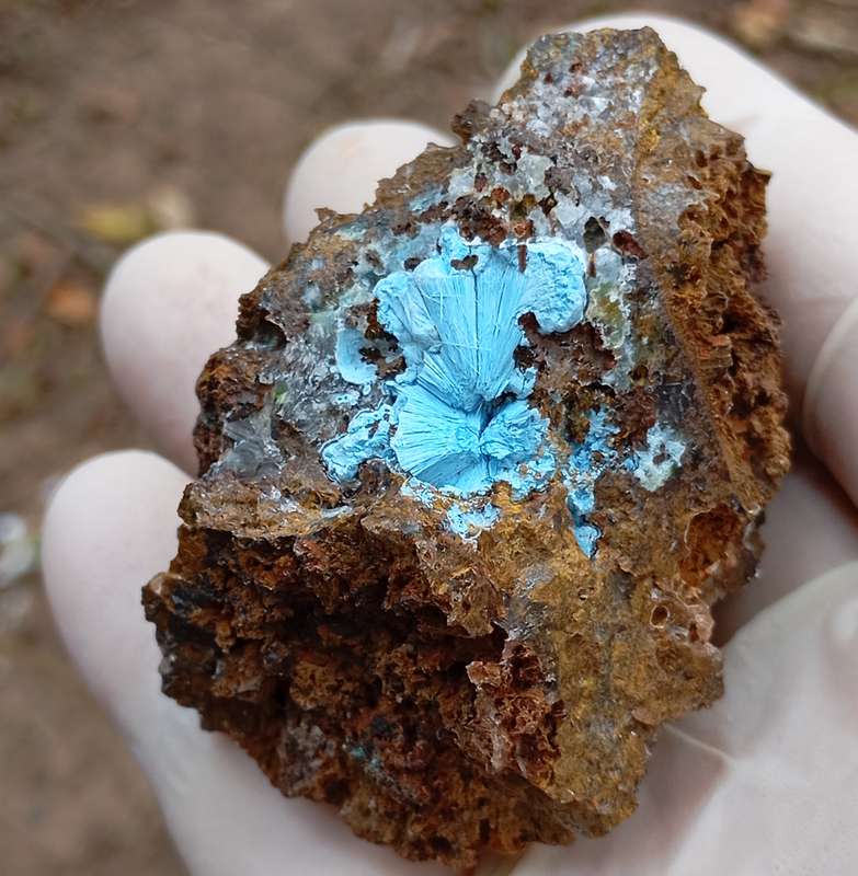 Shattuckite goethite quartz - Tantara mine DRC Congo