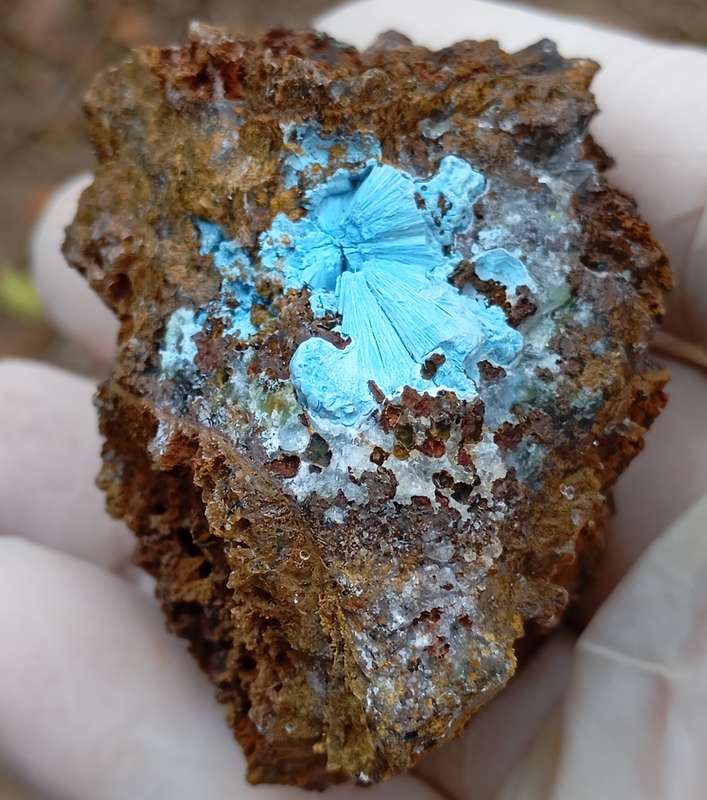Shattuckite goethite quartz - Tantara mine DRC Congo