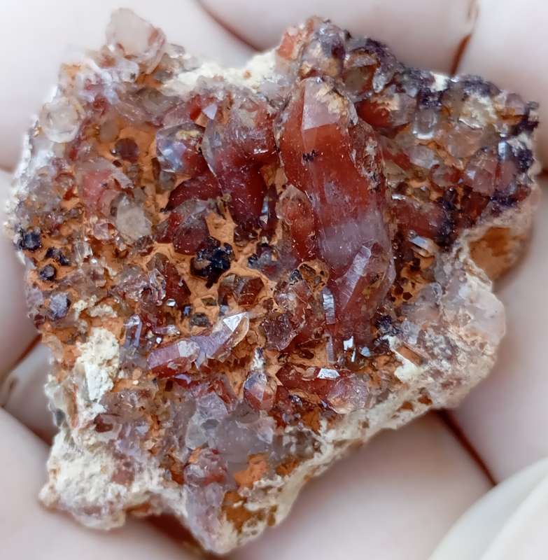 Hematite in quartz - Orange River N Cape South Africa