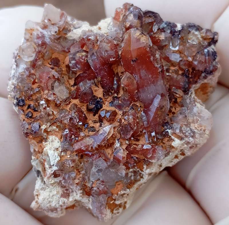 Hematite in quartz - Orange River N Cape South Africa