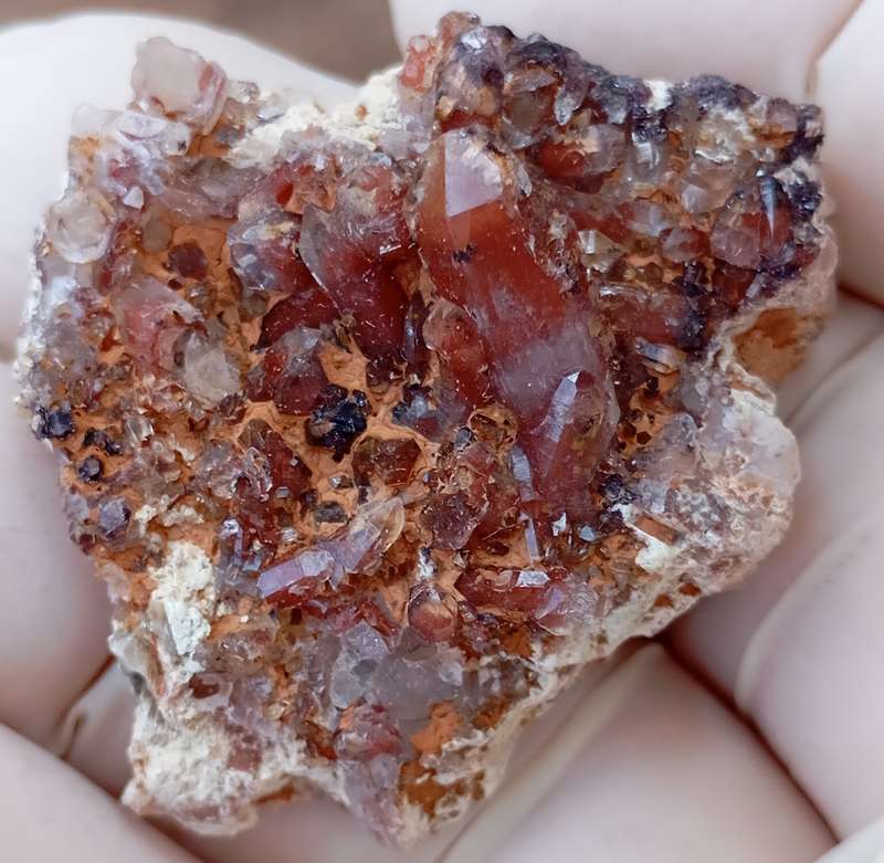Hematite in quartz - Orange River N Cape South Africa