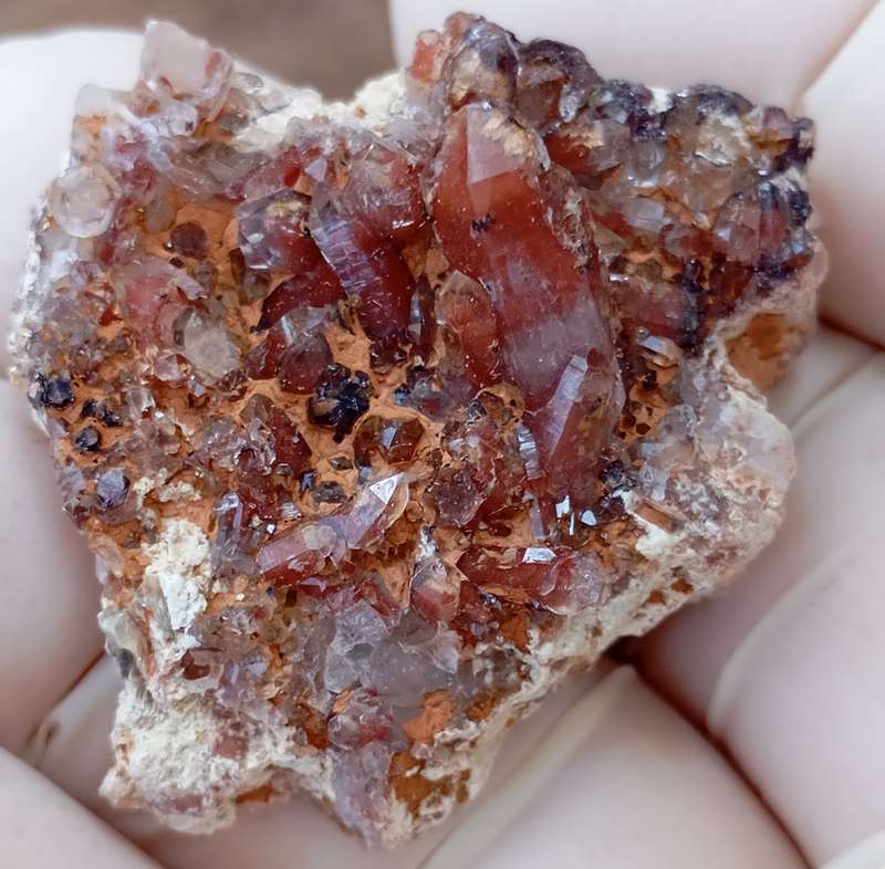Hematite in quartz - Orange River N Cape South Africa