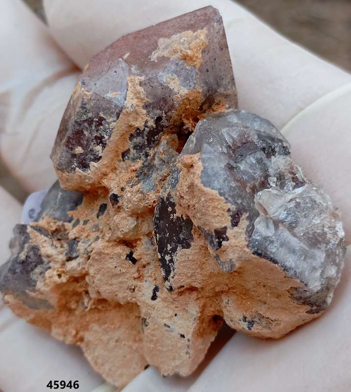 Hematite in quartz - Orange River N Cape South Africa