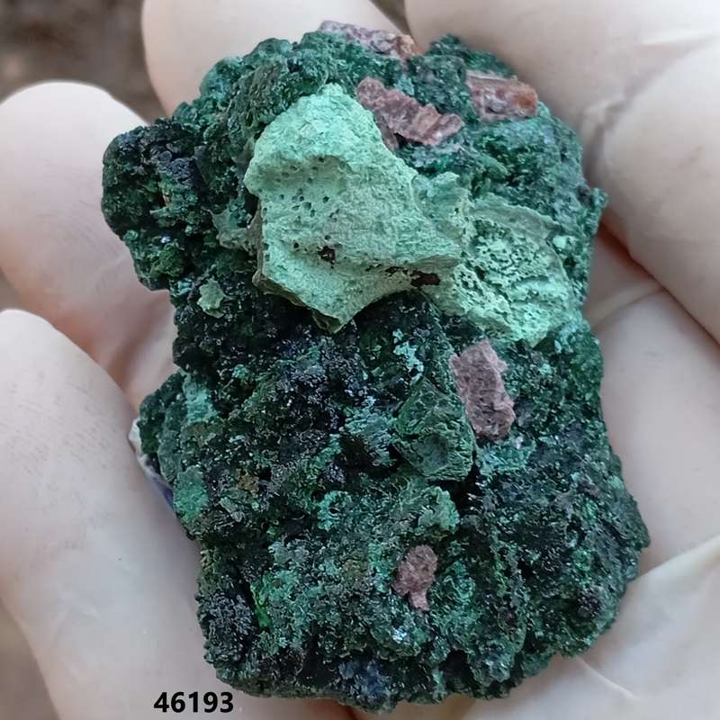 Kolwezite malachite cobaltoan calcite - Kakanda deposit DRC Congo