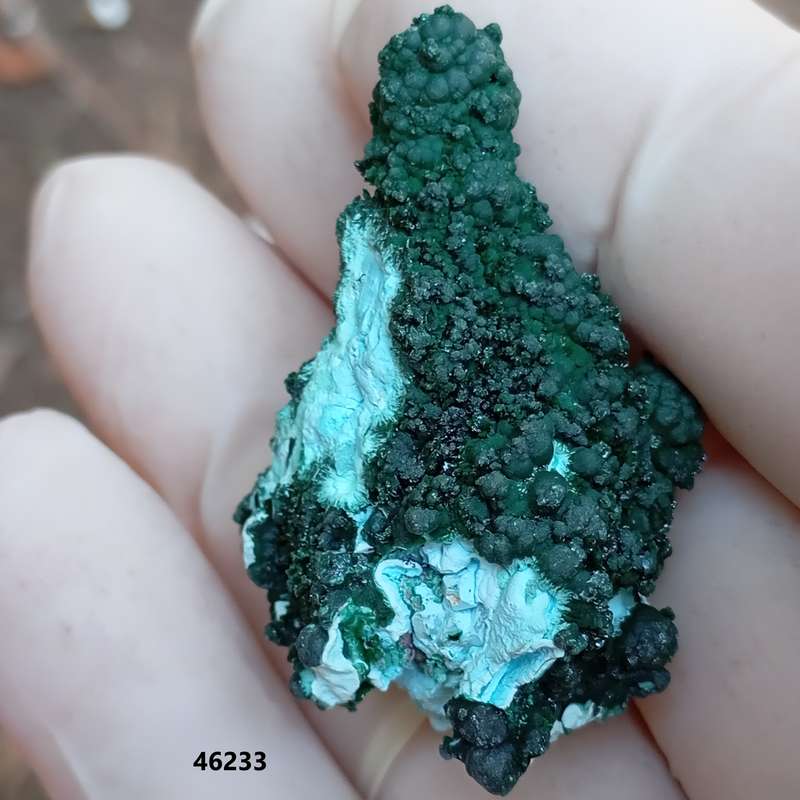 Chrysocolla malachite - Tenke Fungurume mine DRC Congo