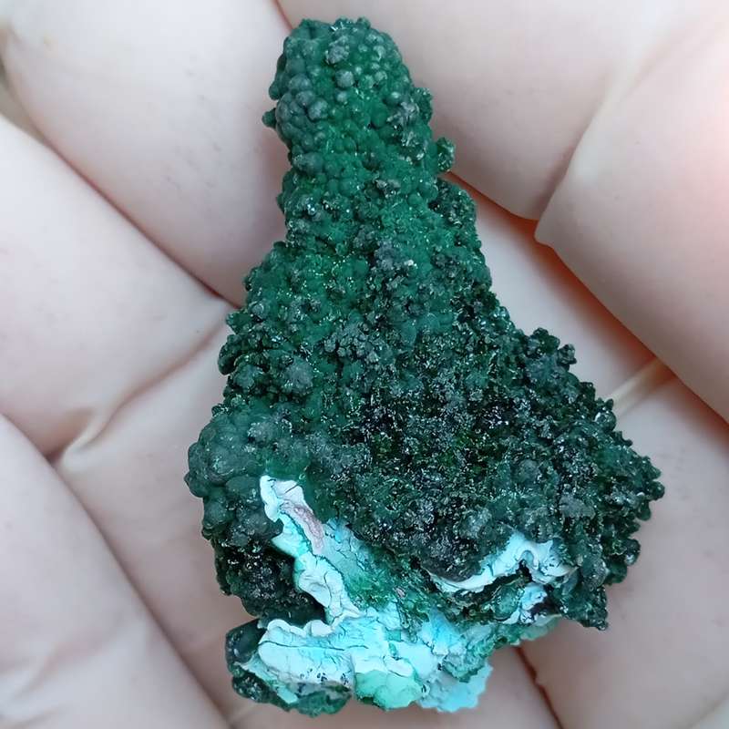 Chrysocolla malachite - Tenke Fungurume mine DRC Congo