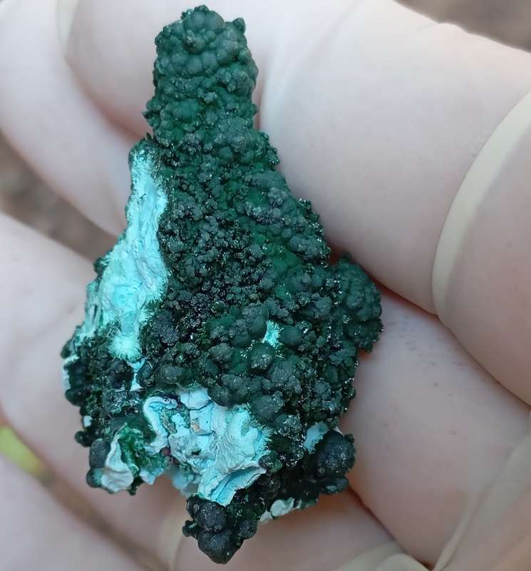 Chrysocolla malachite - Tenke Fungurume mine DRC Congo