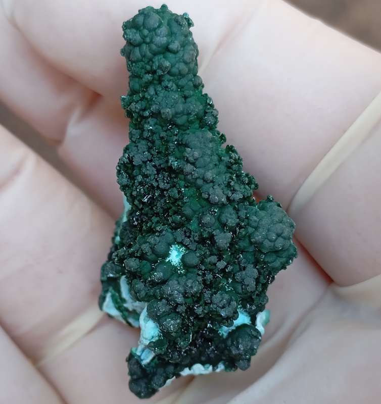 Chrysocolla malachite - Tenke Fungurume mine DRC Congo