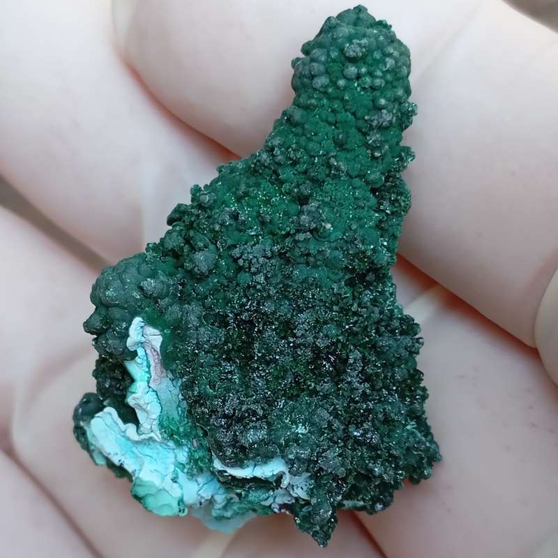 Chrysocolla malachite - Tenke Fungurume mine DRC Congo