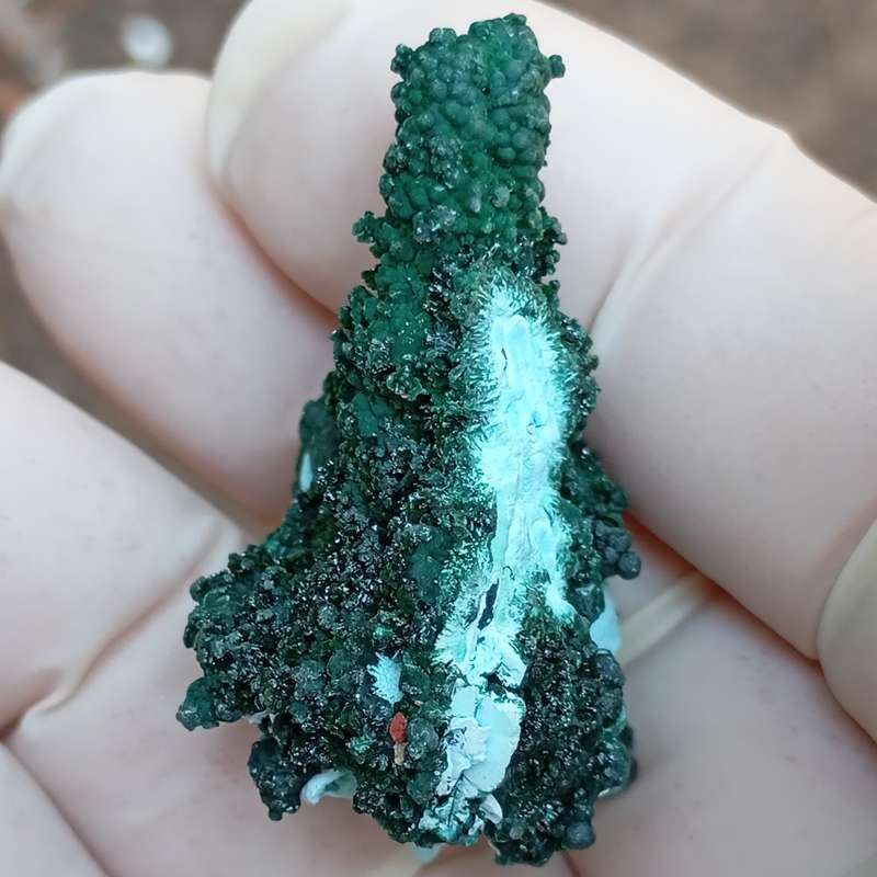 Chrysocolla malachite - Tenke Fungurume mine DRC Congo