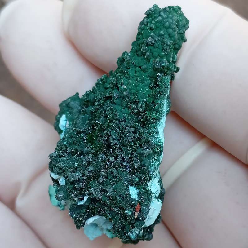 Chrysocolla malachite - Tenke Fungurume mine DRC Congo