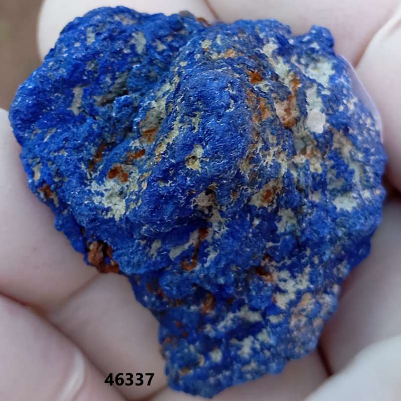 Azurite - Shangulowe mine DRC  Congo