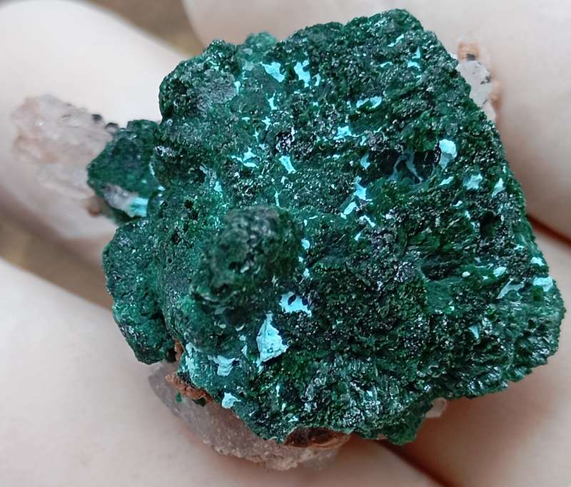 Malachite chrysocolla heterogenite quartz - Kakanda deposit DRC Congo