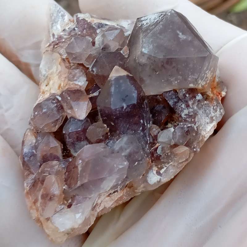 Hematite in quartz - Orange River N Cape South Africa
