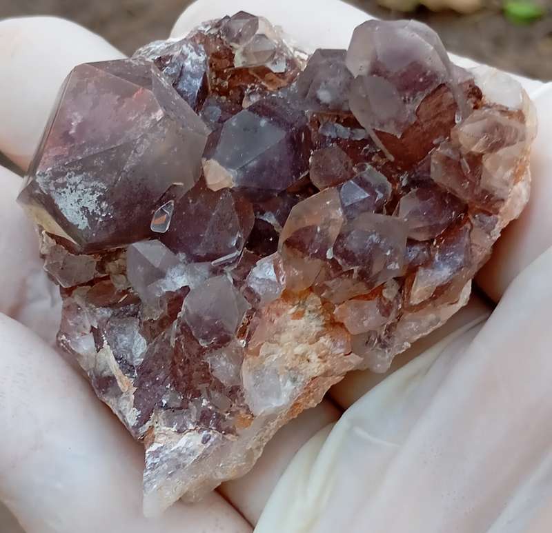 Hematite in quartz - Orange River N Cape South Africa