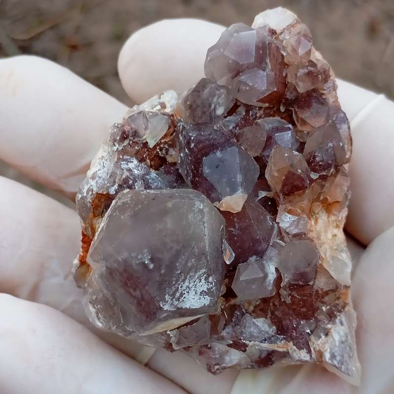 Hematite in quartz - Orange River N Cape South Africa