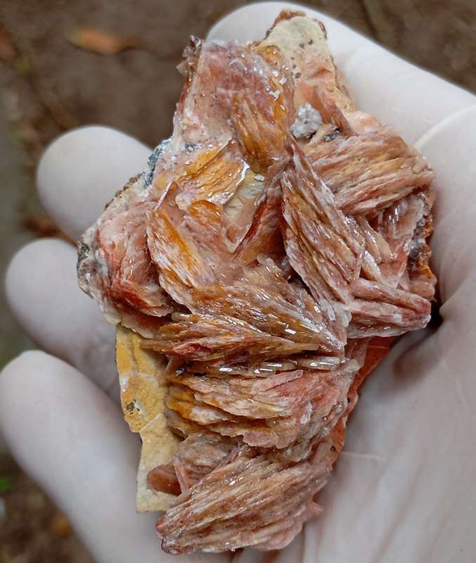 Vanadinite baryte goethite - Mibladen mining district Morocca
