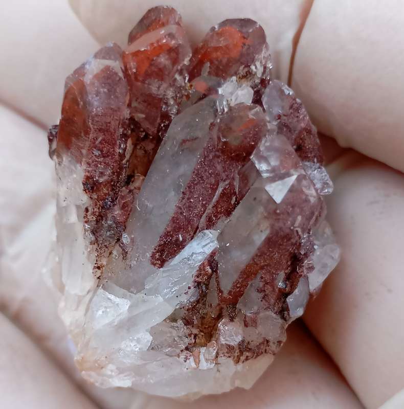 Hematite in quartz - Orange River N Cape South Africa