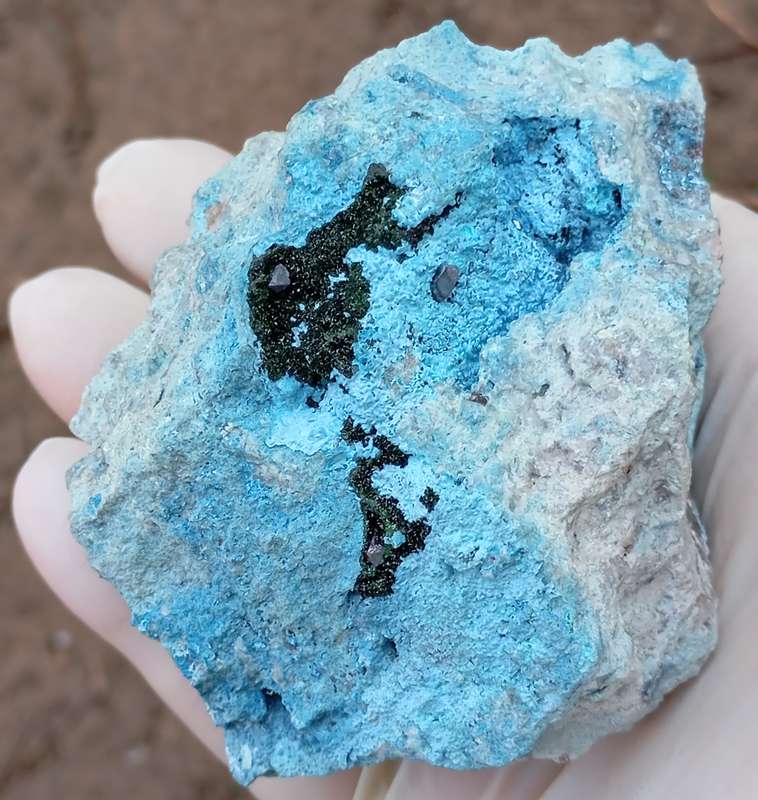 Cuprite malachite chrysocolla - Mashamba West mine DRC Congo