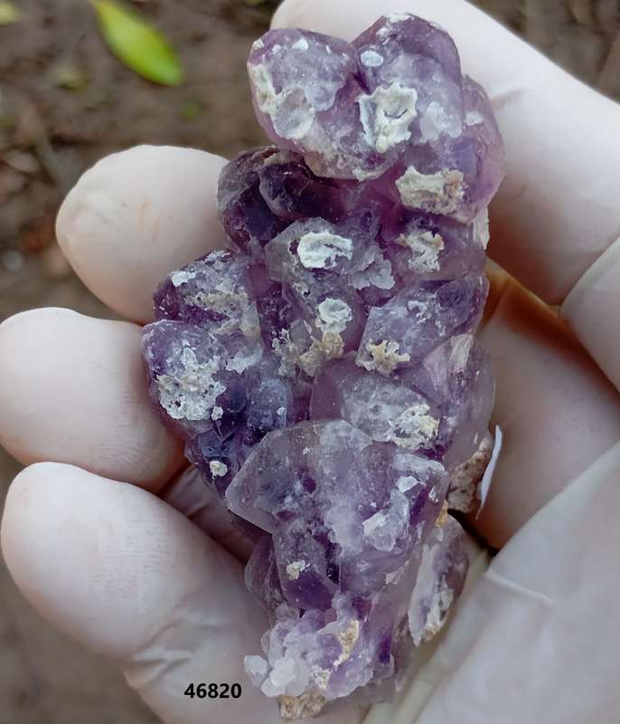 Hematite in quartz - Orange River N Cape South Africa