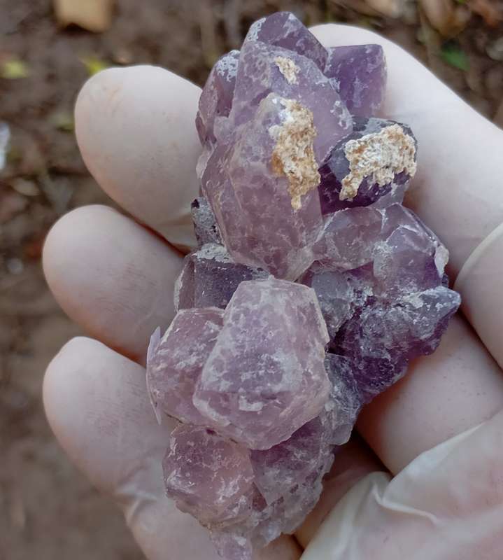 Hematite in quartz - Orange River N Cape South Africa