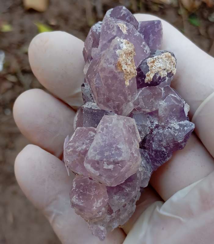 Hematite in quartz - Orange River N Cape South Africa