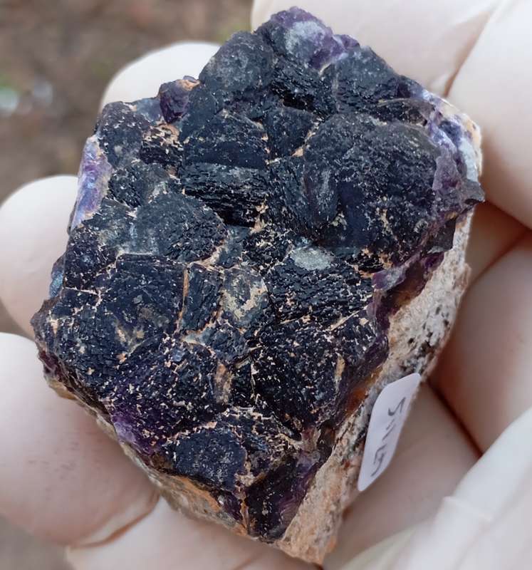 Fluorite - Orange River N Cape South Africa