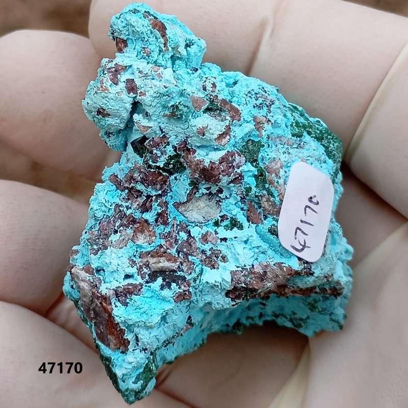 Malachite heterogenite chrysocolla - Tenke Fungurume mine DRC Congo