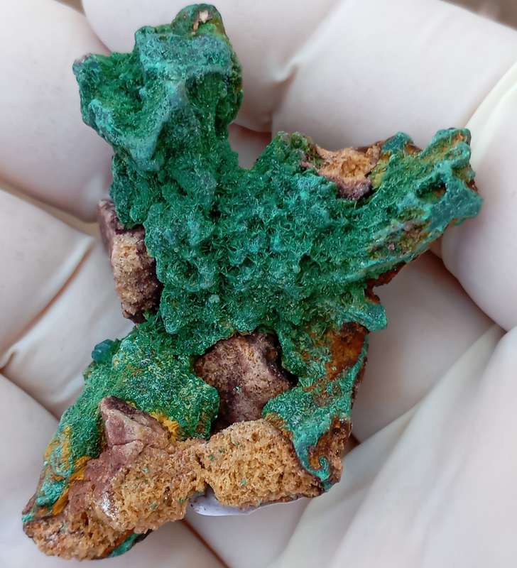 Malachite pseudomorph after baryte dioptase goethite quartz - Kolwezi mining district DRC Congo