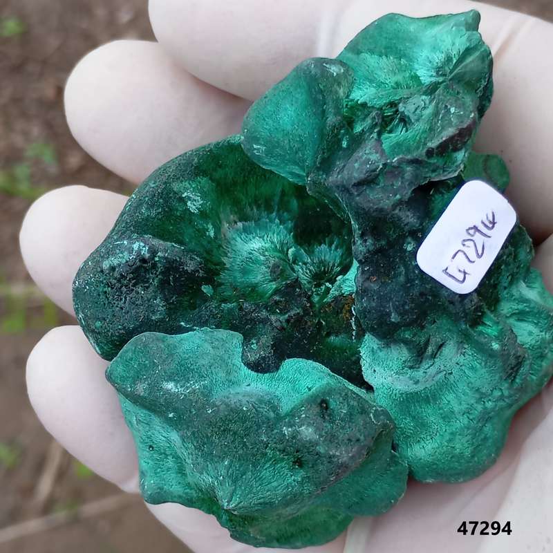 Malachite - Mindingi mine DRC Congo
