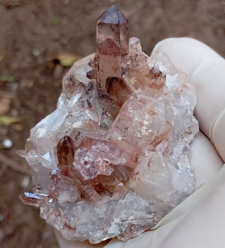 Hematite in quartz - Orange River N Cape South Africa