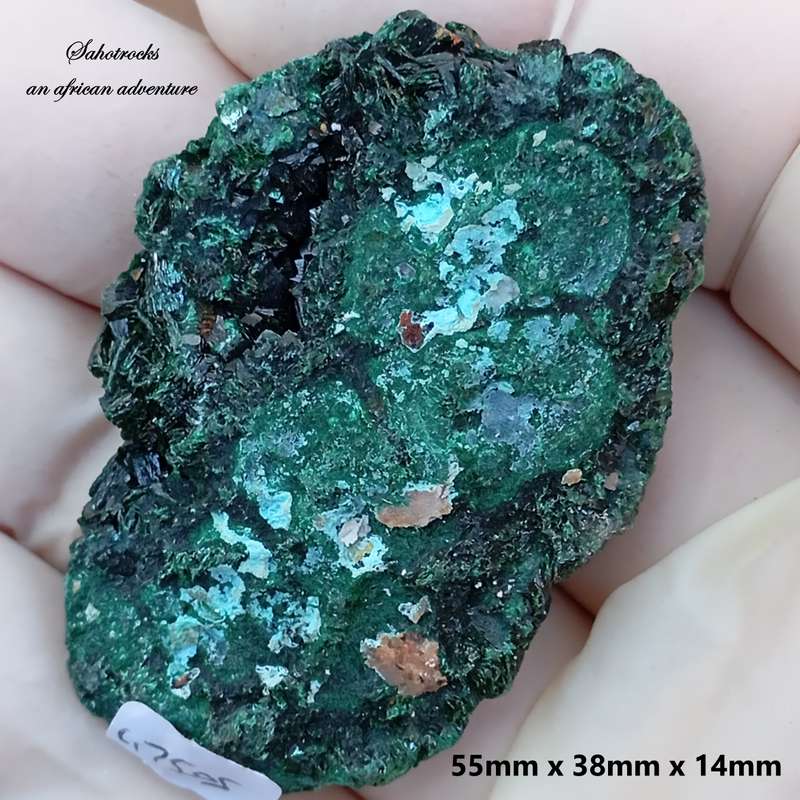 Malachite chrysocolla - Mashamba West mine DRC Congo