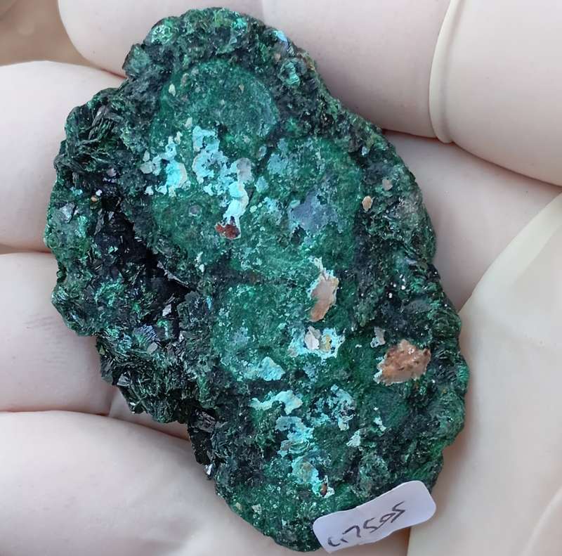 Malachite chrysocolla - Mashamba West mine DRC Congo